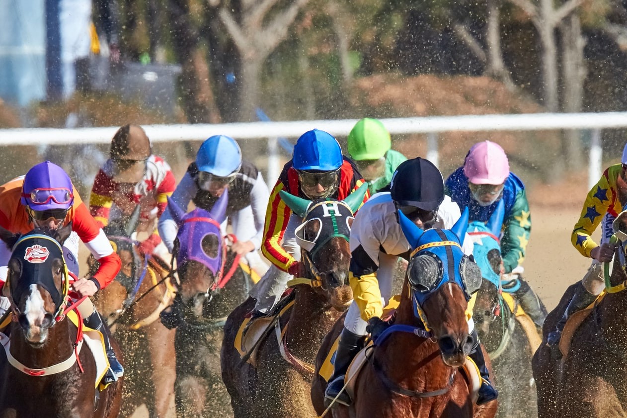 Horse race (2)